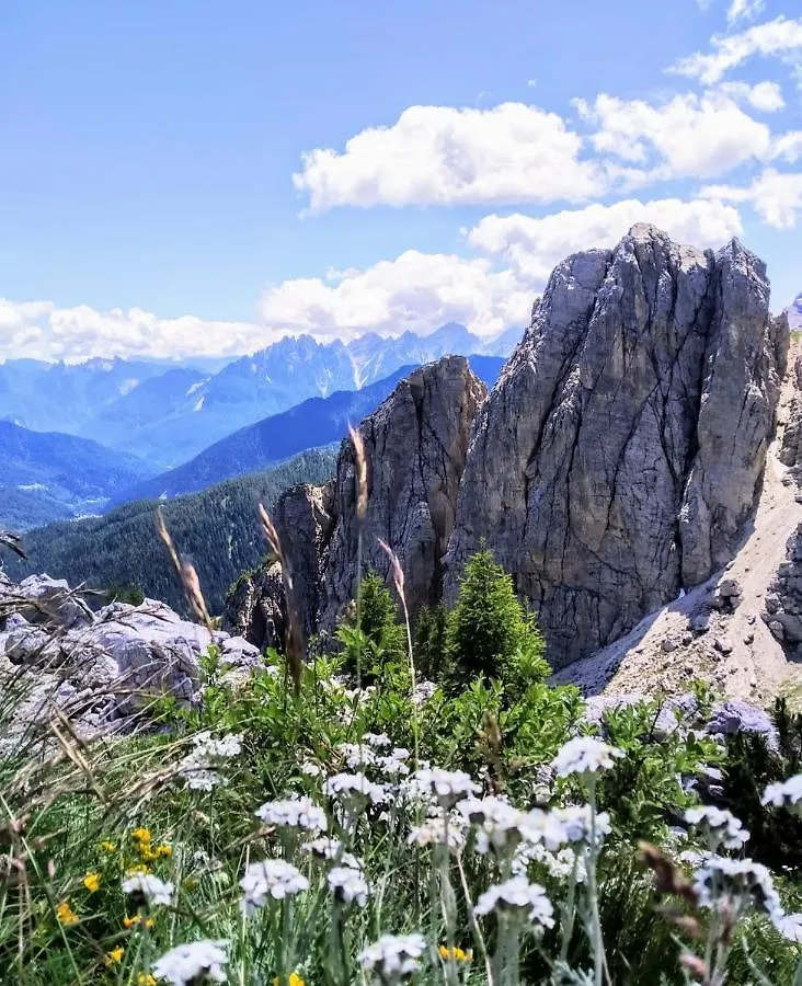 Camere Nordest Sudest- Conca Agordina Agordo 0*,  Italy