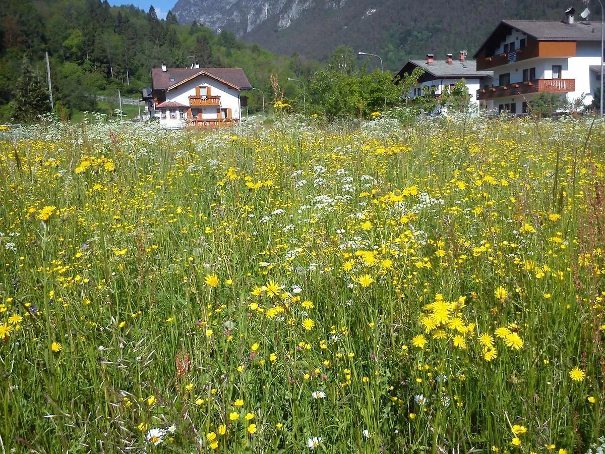 Camere Nordest Sudest- Conca Agordina Agordo Guest house